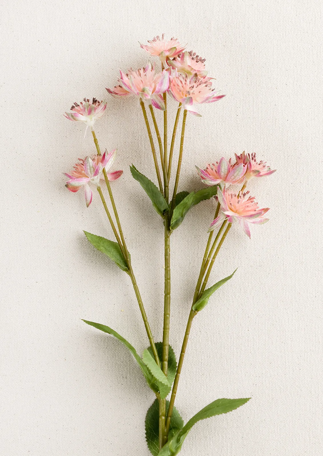 Faux Armeria Stem