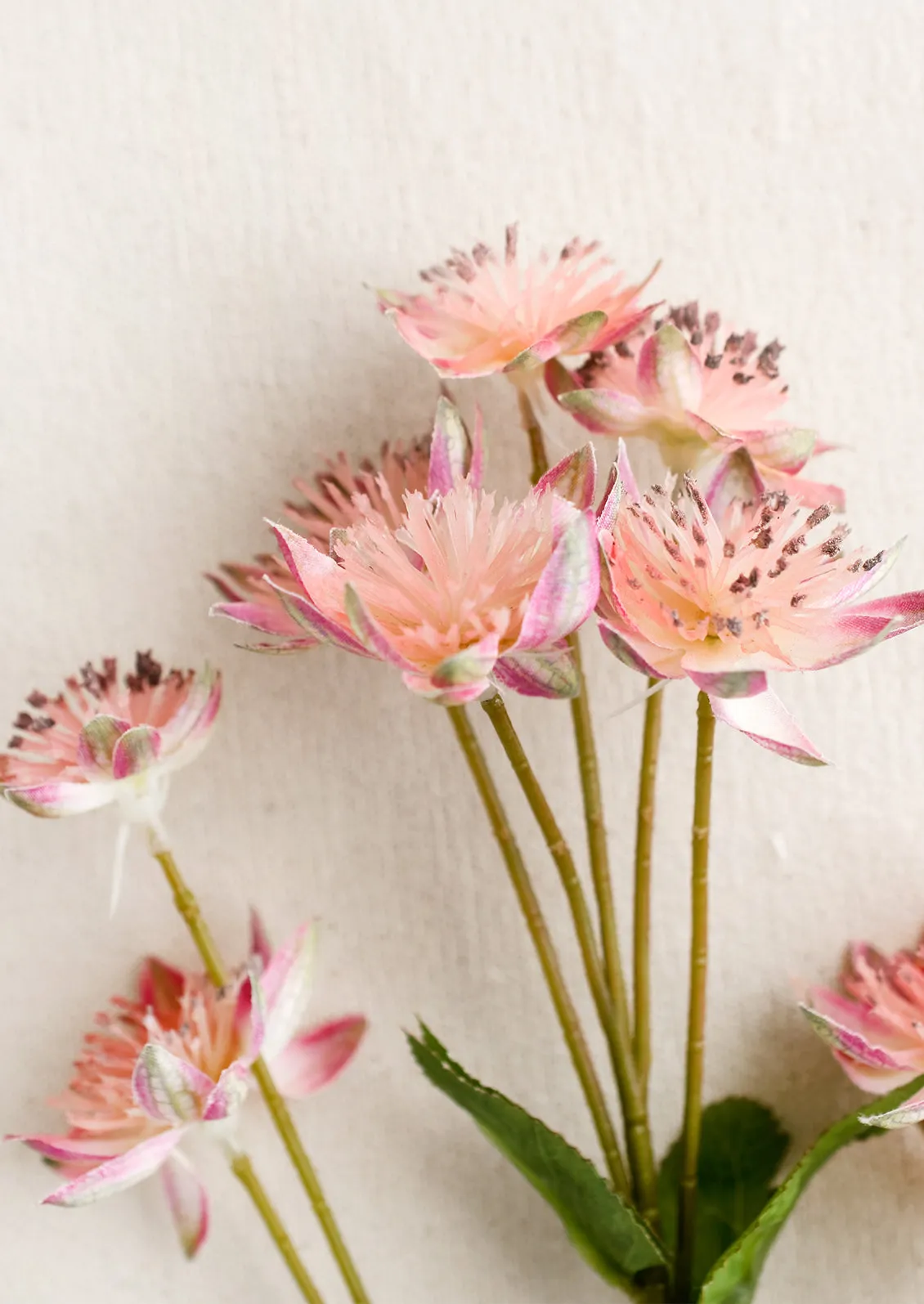 Faux Armeria Stem